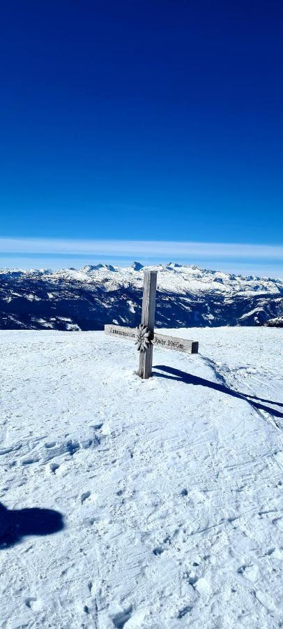 Ferienwohnungen Bergpanorama Bad Mitterndorf Luaran gambar