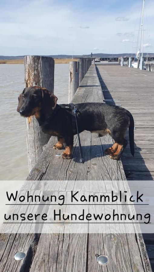 Ferienwohnungen Bergpanorama Bad Mitterndorf Luaran gambar