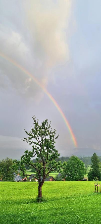 Ferienwohnungen Bergpanorama Bad Mitterndorf Luaran gambar